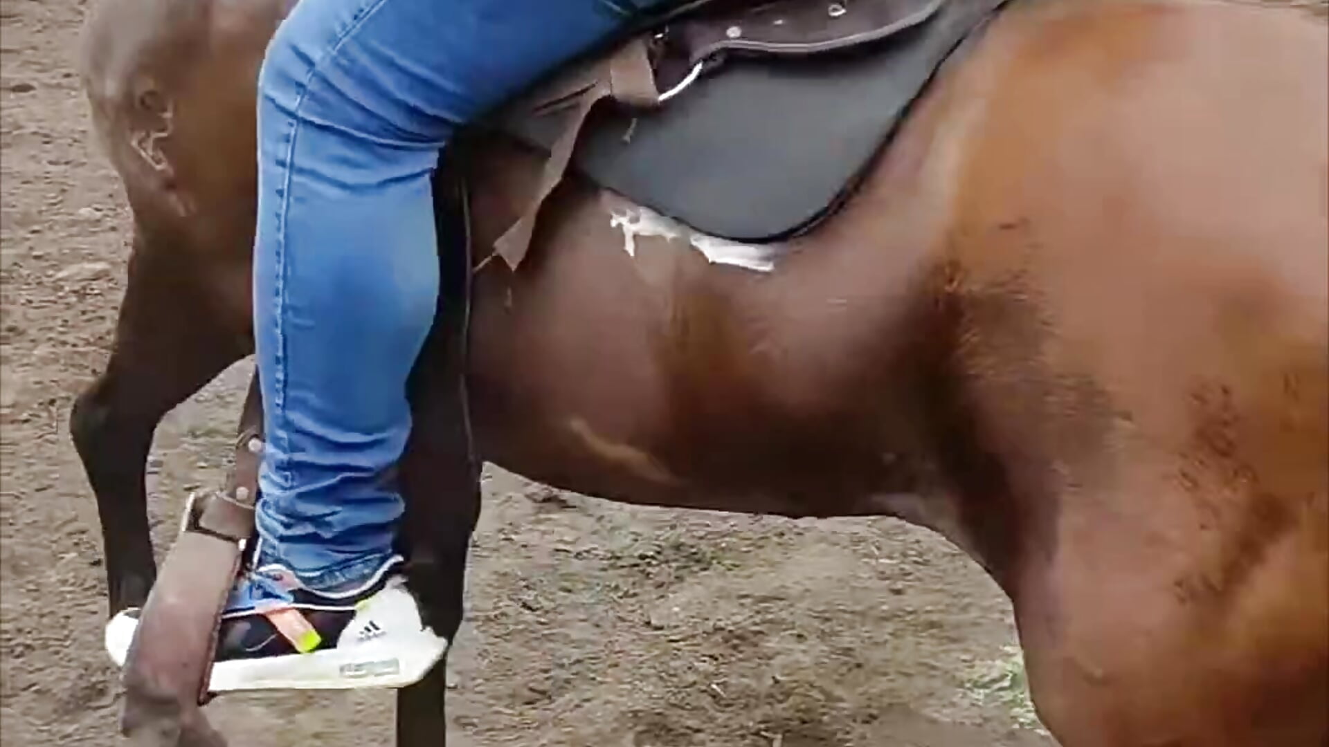in love with horses - video by Big_Dominic cam model