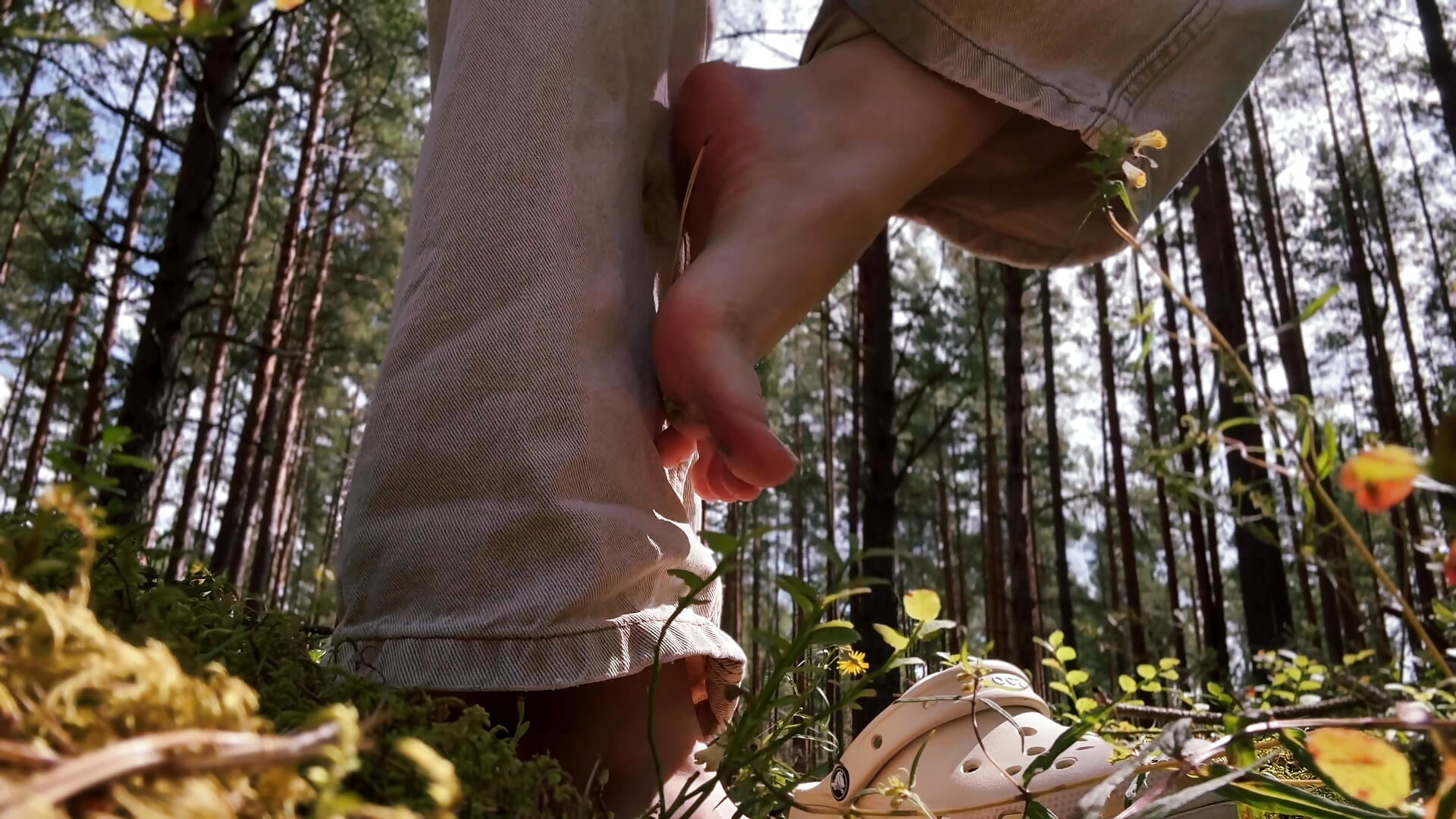summer forest feet asmr