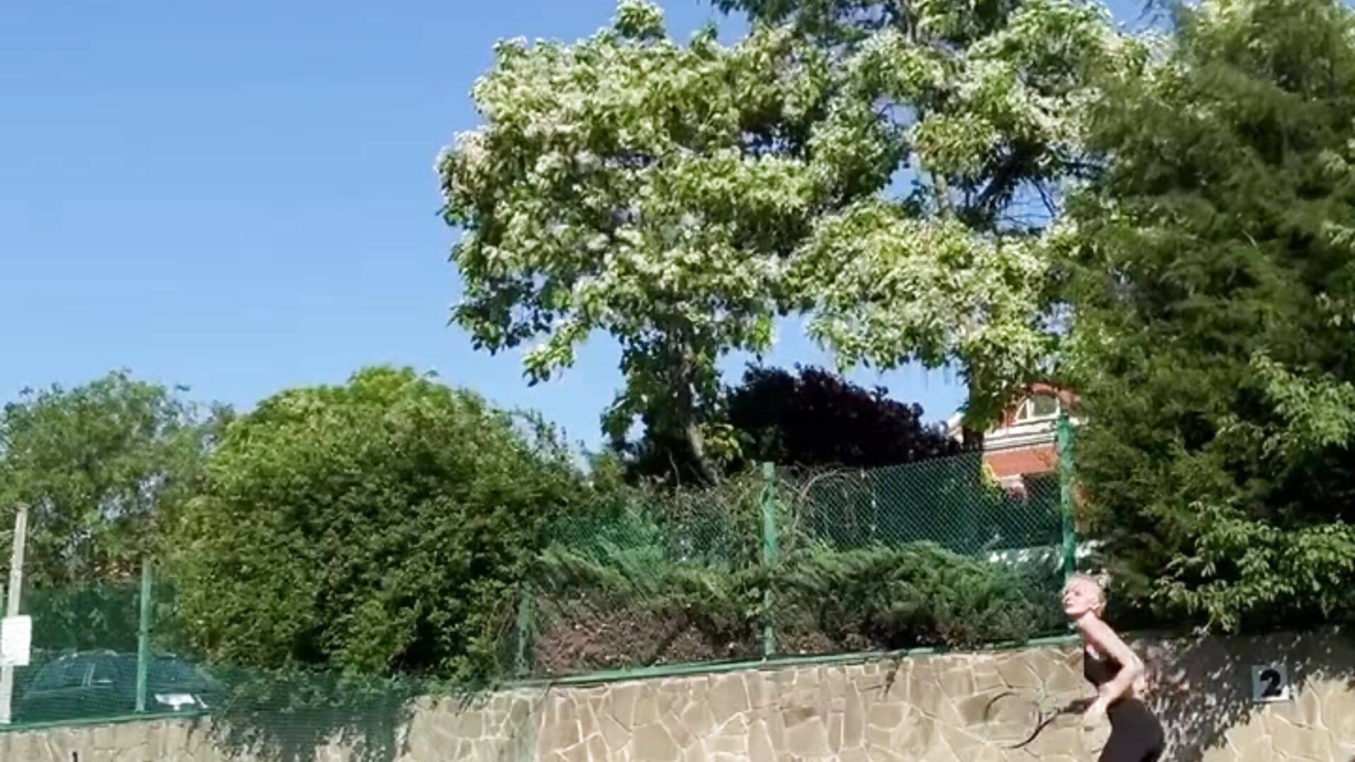I have been engaged in Tenis from 10 years old. My favorite hobby:)