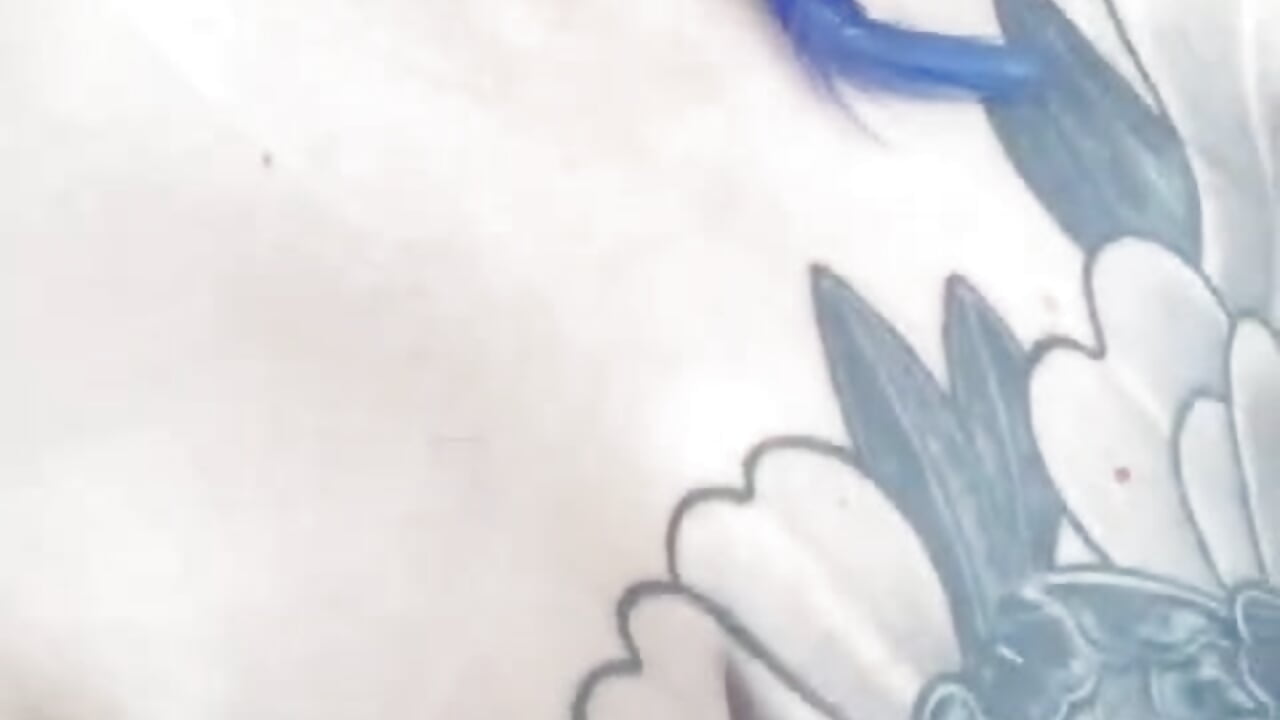 VID-20231204-WA0012(1) - Catamilf77主播的视频