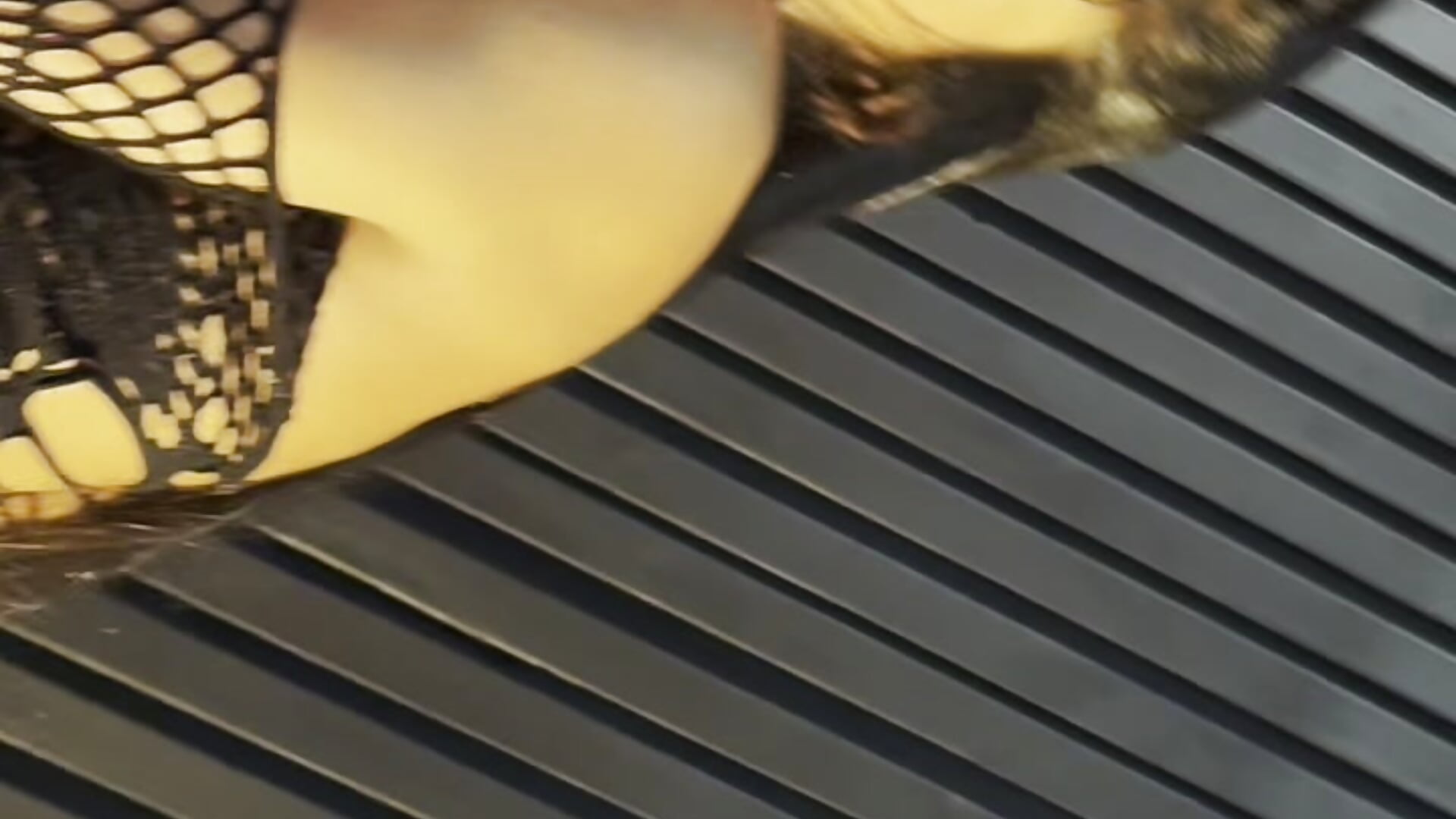 Kitty ❤️ - vídeo de kitty_myers modelo de câmara