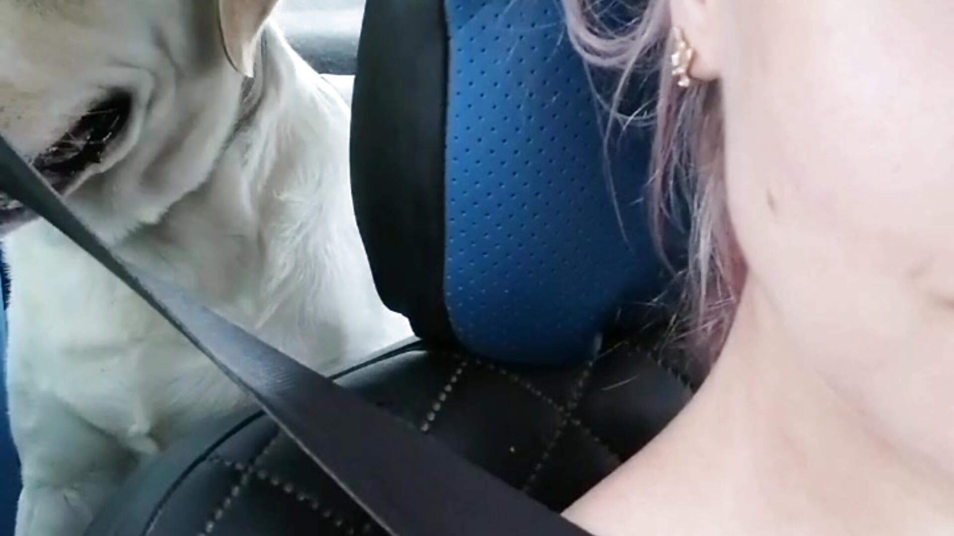 Mars - video by Pink_SeaGull cam model