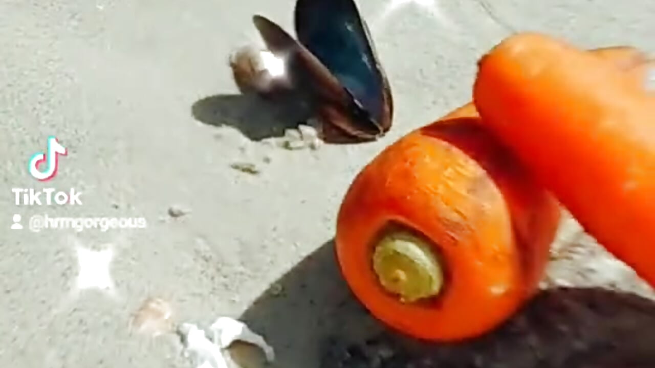 4th July SUBSCRIBER EXCLUSIVE - فيديو من mamakarma1403 موديل الكام