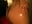 butt oil - video by _Hitha_1 cam model