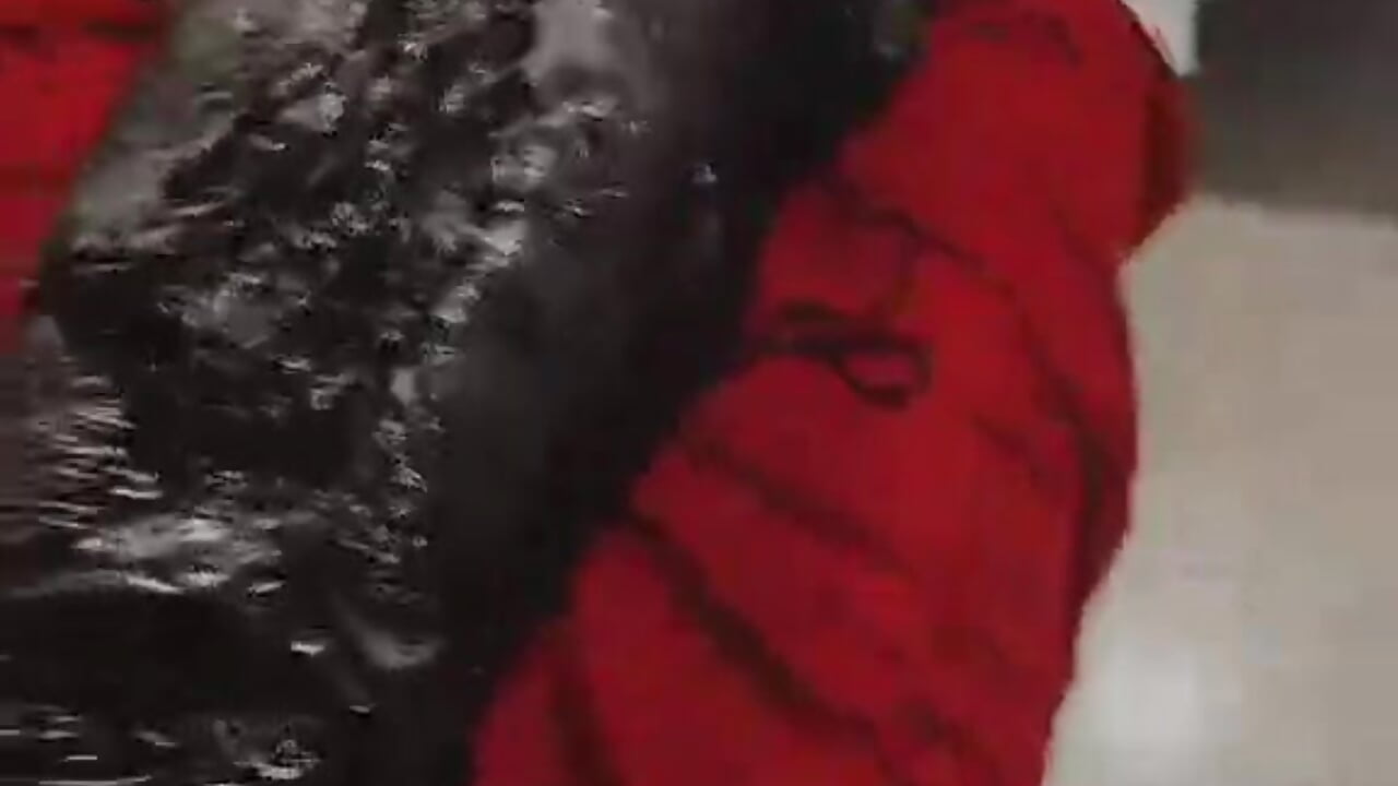 𝔖𝔱𝔦𝔩𝔢 𝔖𝔠𝔥𝔯𝔦𝔢 𝔡𝔢𝔯 𝔖𝔢𝔢𝔩𝔢 🤐💀 - video di bellatrix25 modella di cam