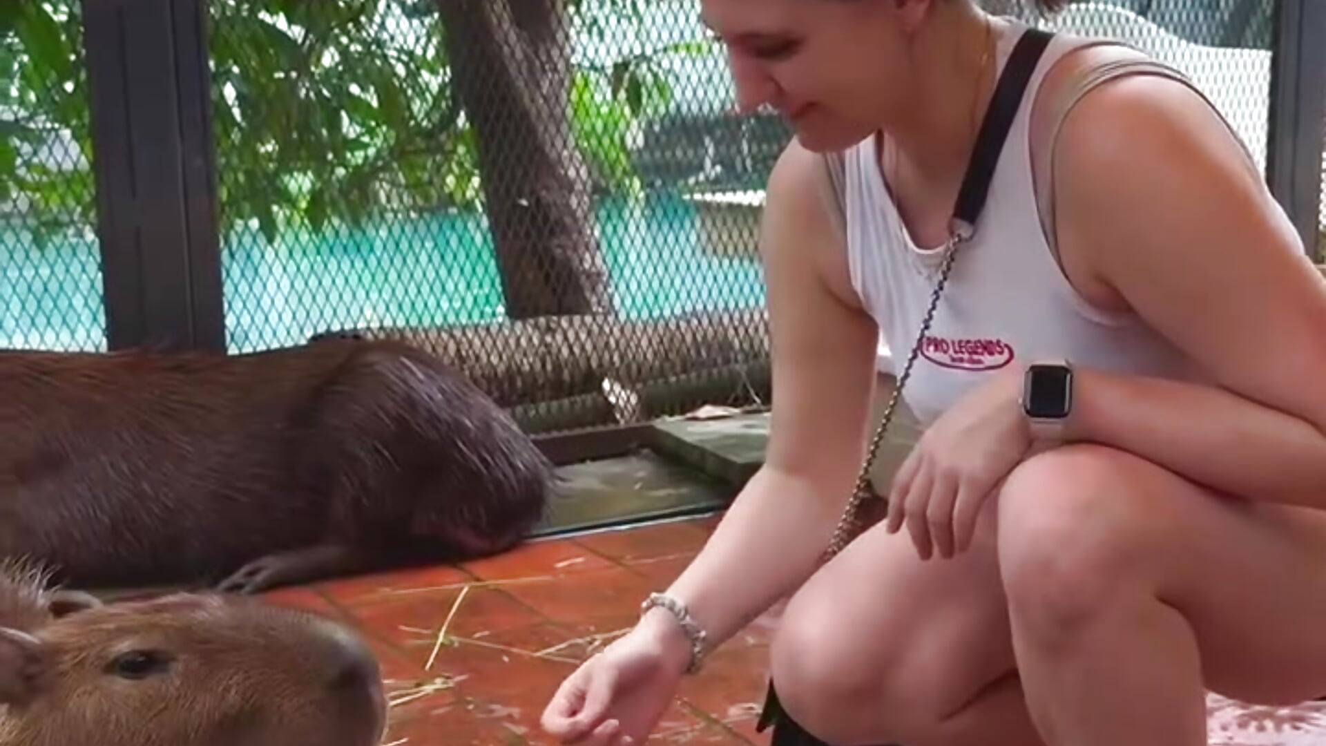 Capybara Zen – video af Diana_Flower cam-model