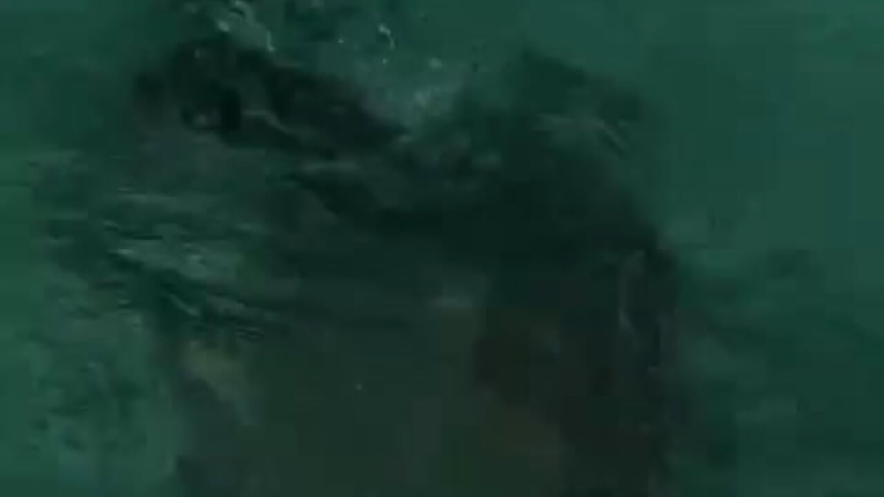 💋💗 - video by Sukoon____ cam model