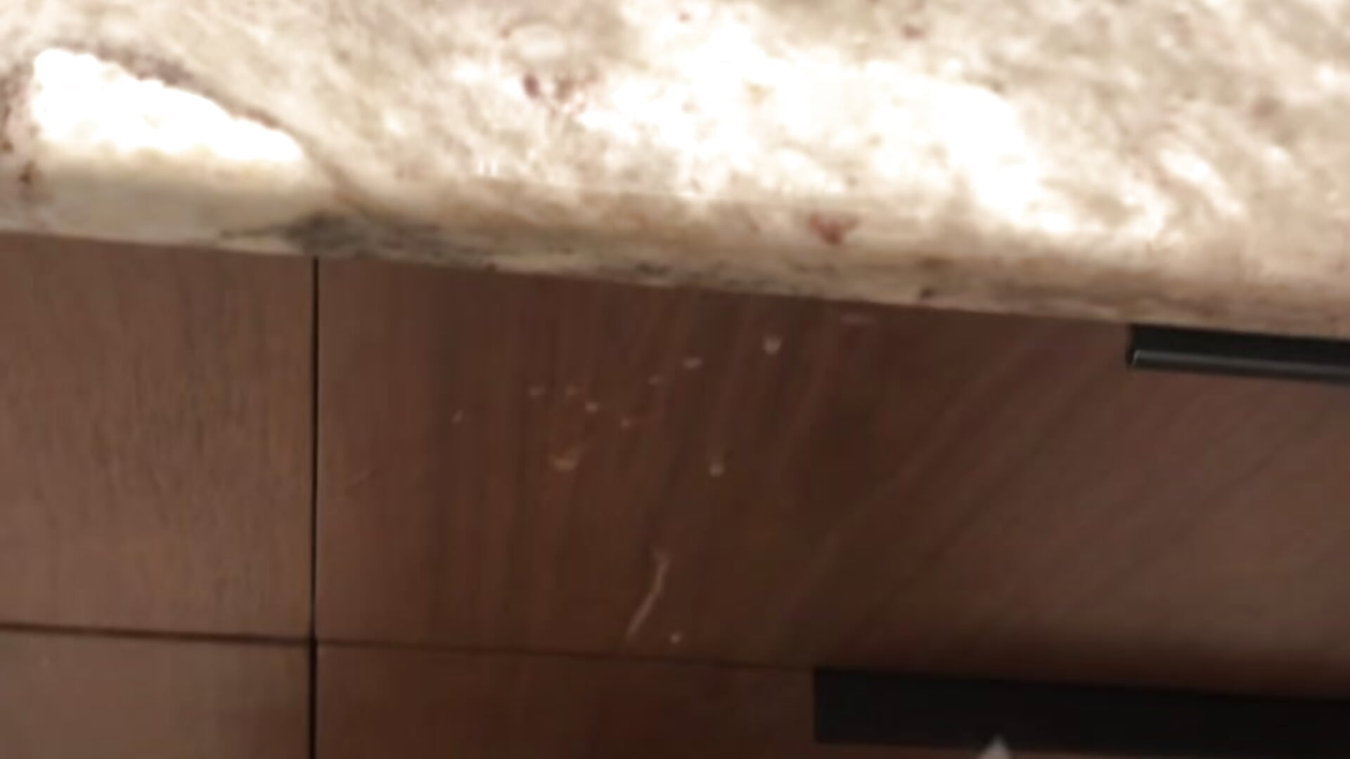 Snapchat-1302434892,mp4