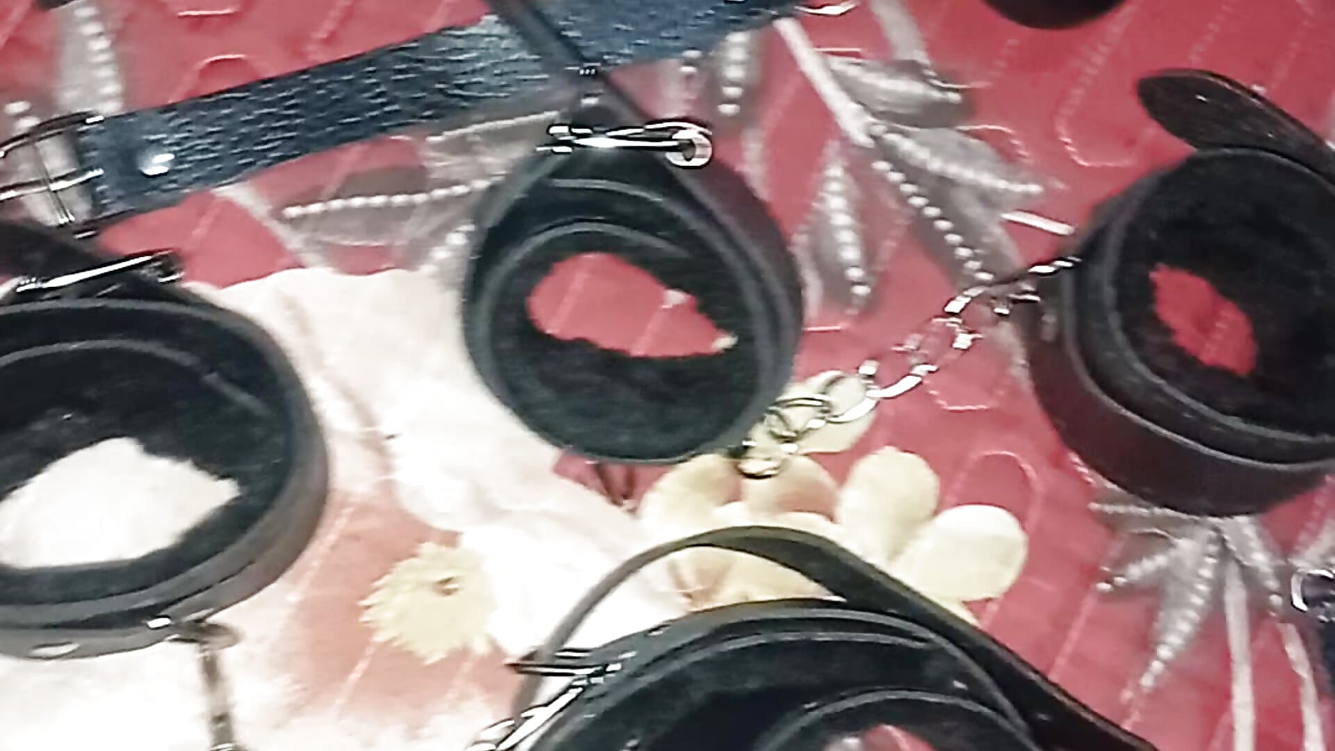 50 shades - فيديو من hoittytoittyxx موديل الكام