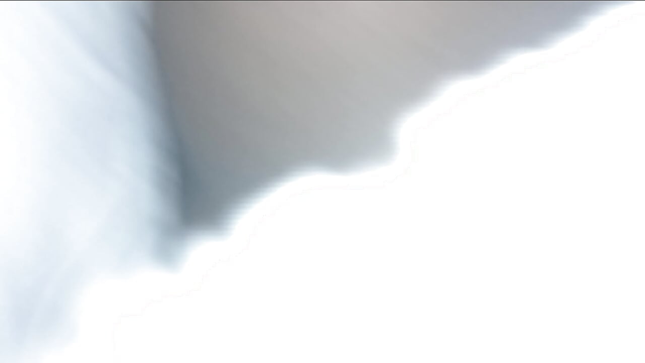 WiseDi...Teasing