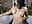 My sexy body is ready for you - clip cu Kayla_stern_
