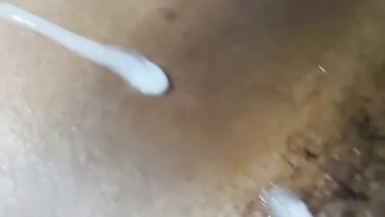 Lick my cum bb - βίντεο μοντέλου jhon_tomson1
