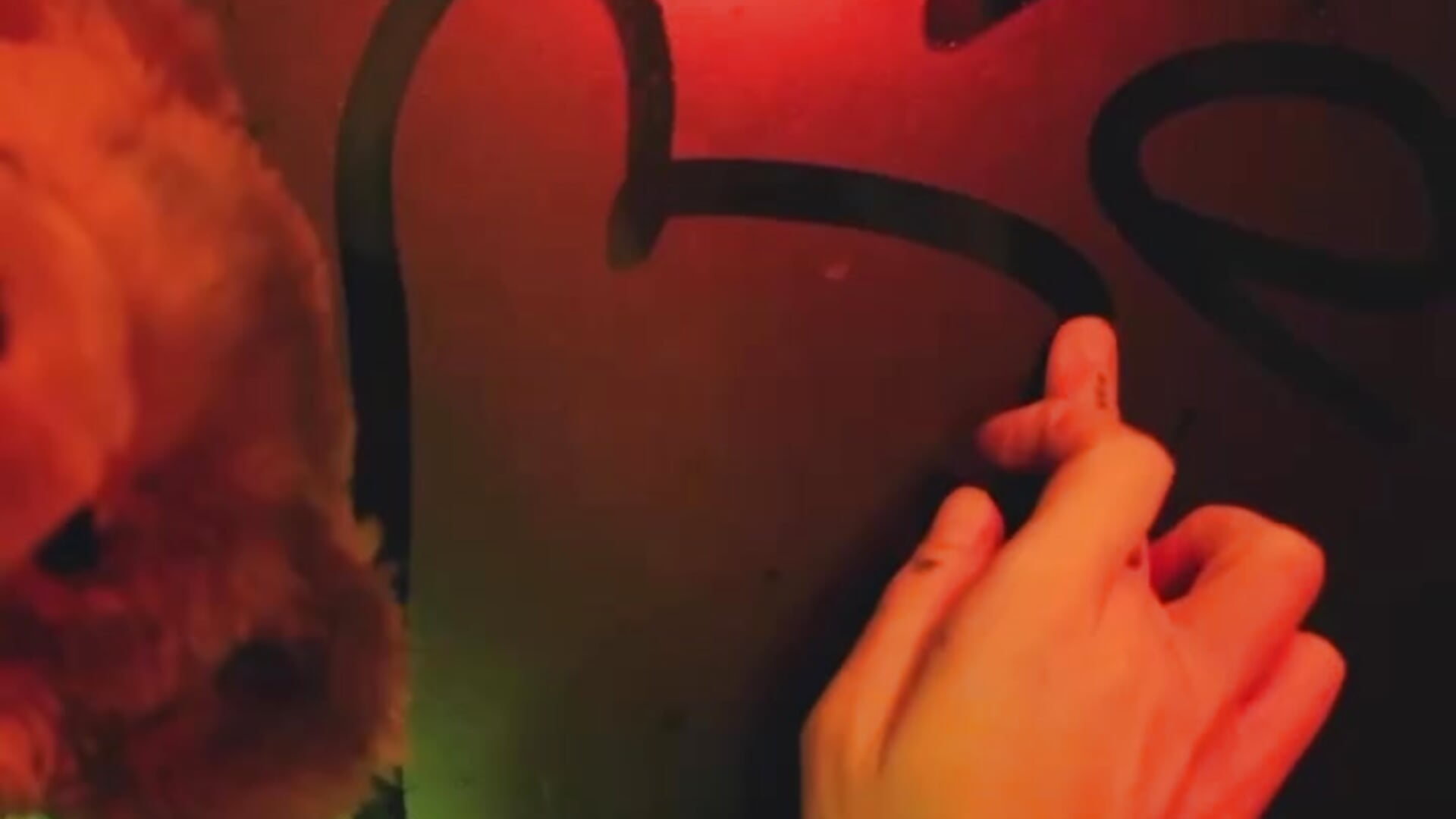 little giant  👀 - video by mollydoorsis1 cam model