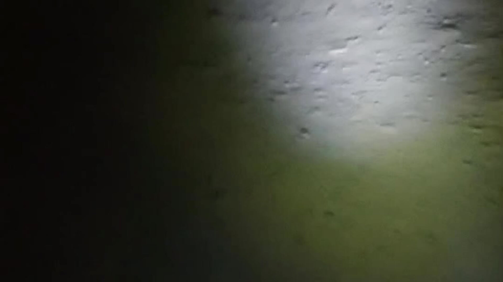 1000035699 - Vídeo de Almazbek_9797, modelo de vídeos