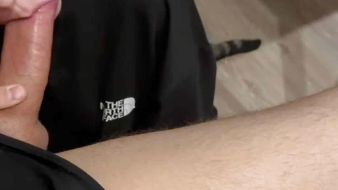 Suck big Dick