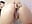 plug anal - video by melyescobar cam model