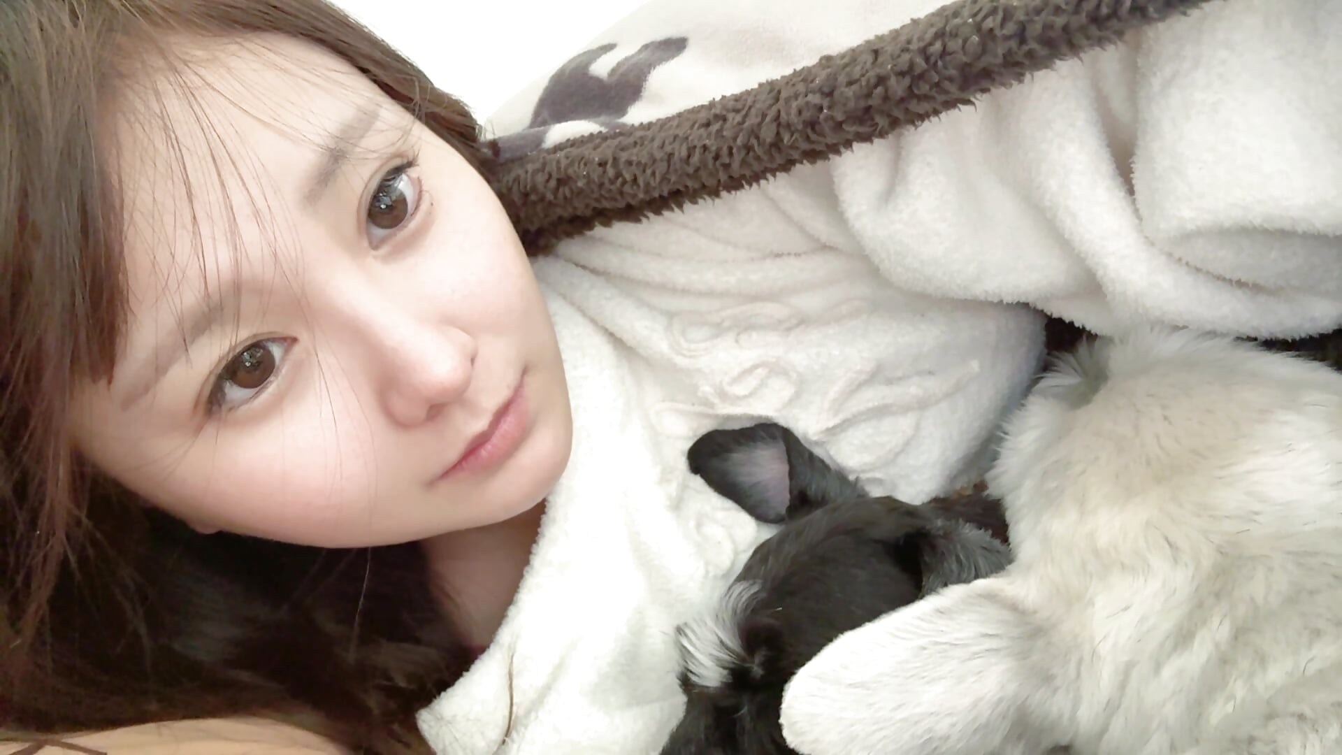 毎日一緒に布団に入って眠るよ😻－カメラキャストのHime_1の動画