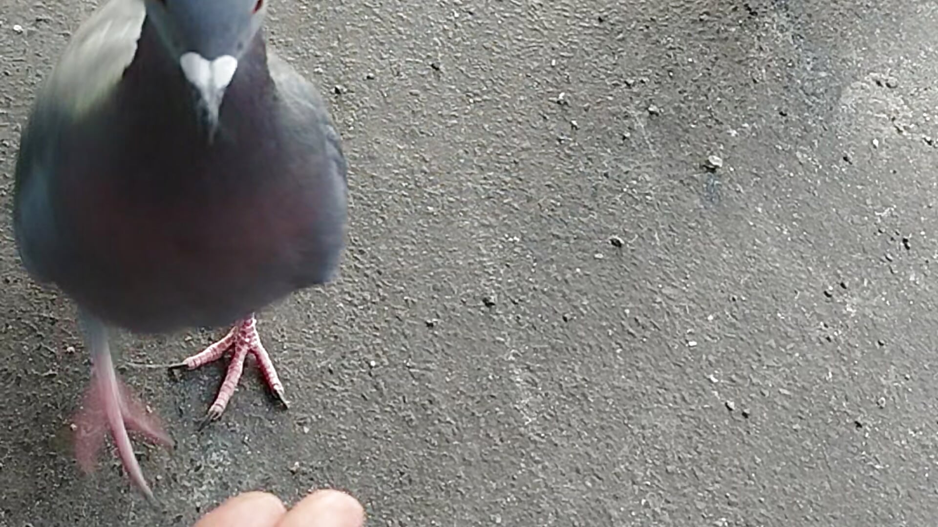 Happiness is in the little things - video oleh model kamera __MaryLee__