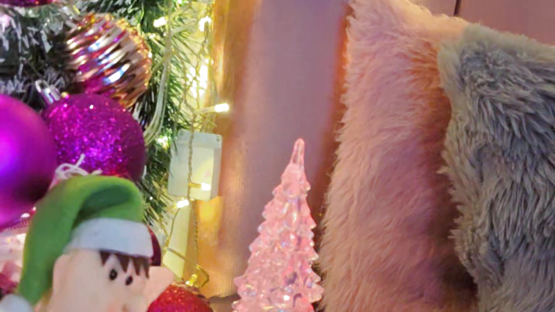 Loving Christmas 😍🎄🎇 - video của người mẫu cam MiahJoness