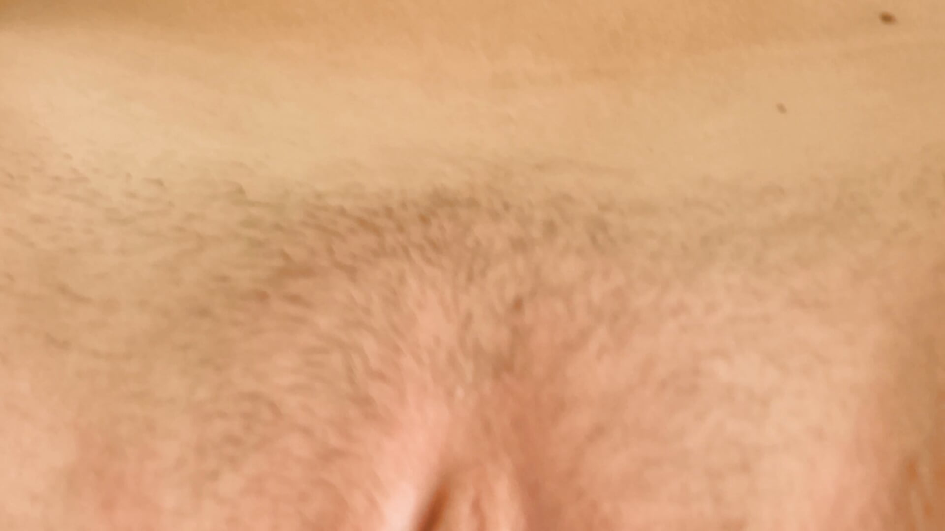 Aurora cream pie