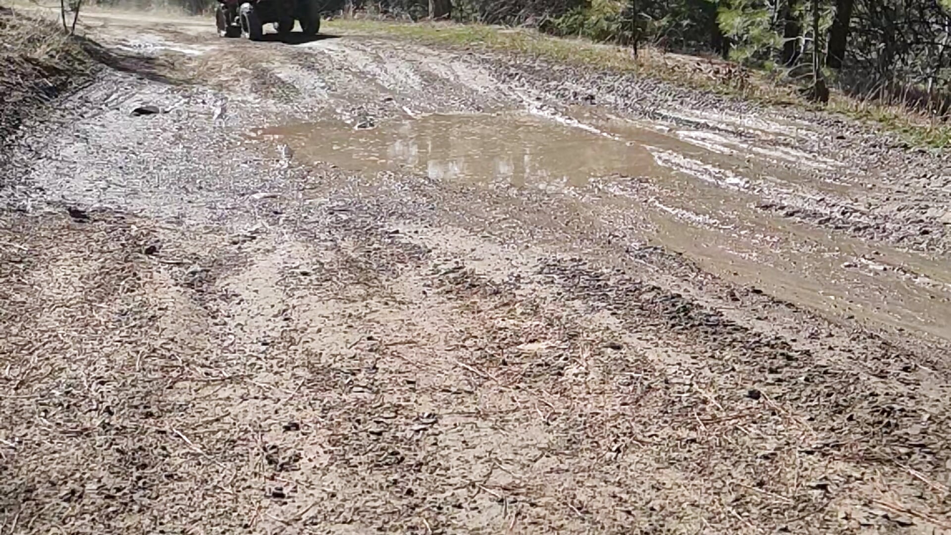 20260405_140058 - video by Ryan_and_Aurora cam model