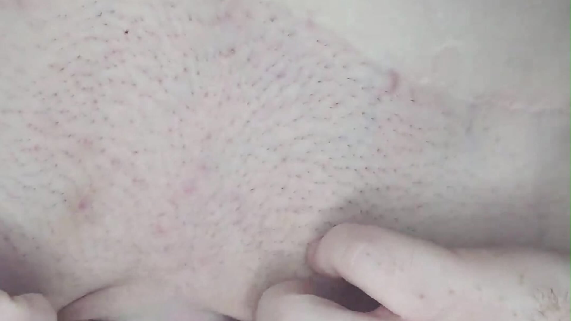 Tongue Flicks + Pussy Lips
