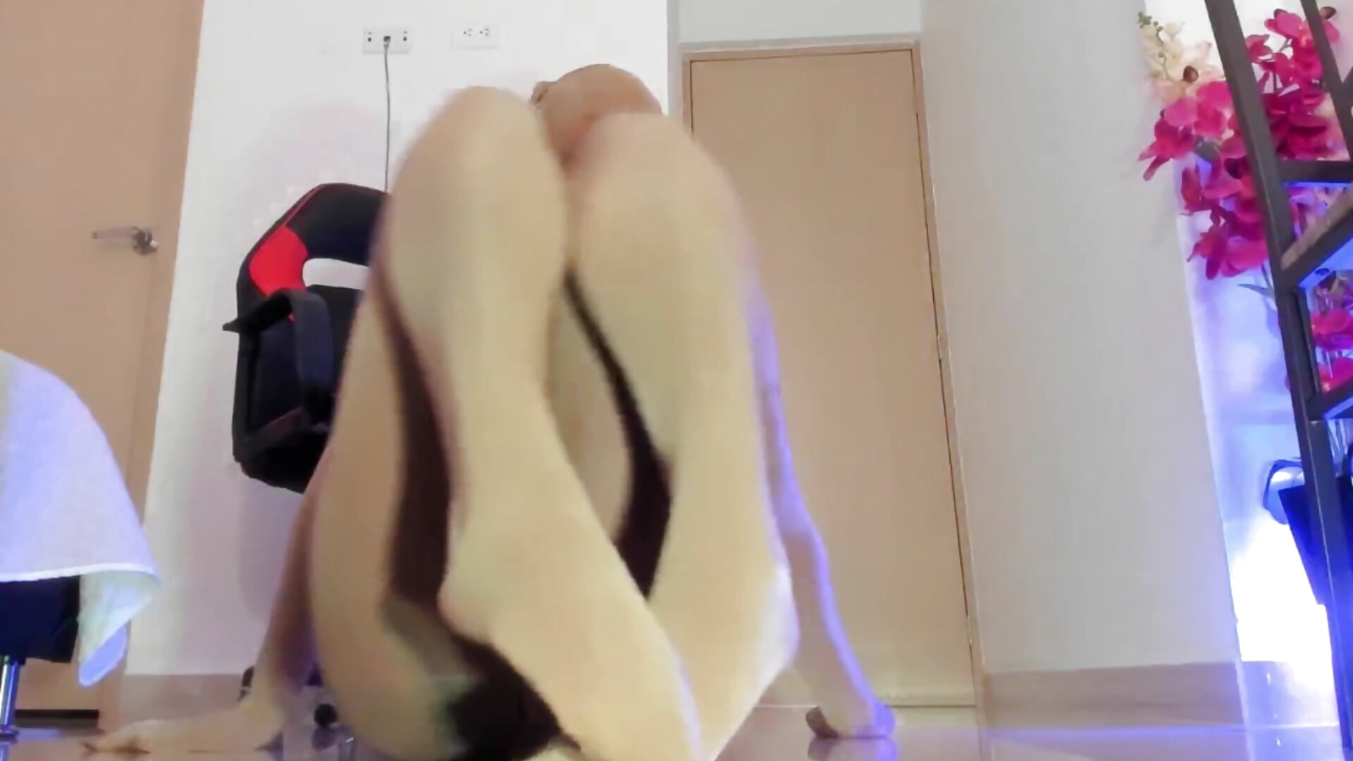 Nylon encasement - vídeo de Sali_g