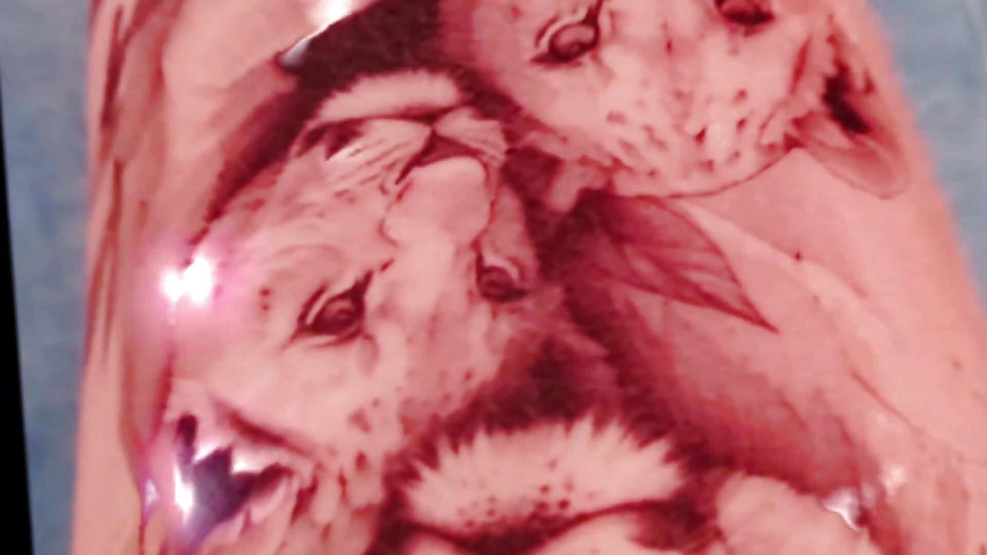 2025-06-24-005814362 - video oleh model kamera SweetLeila40