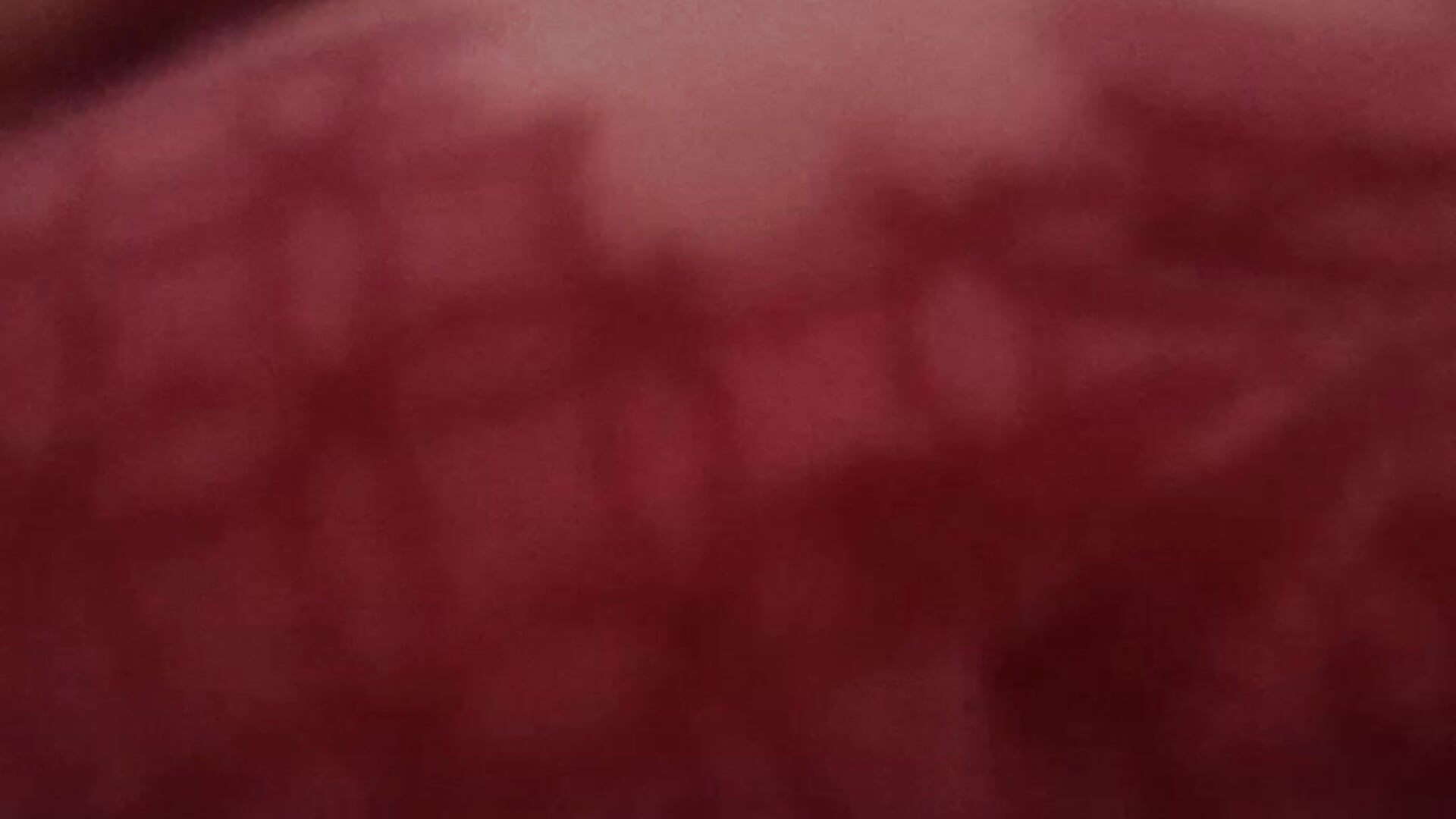 VID_20250729_132234 - video av BatsAphid cam-modell