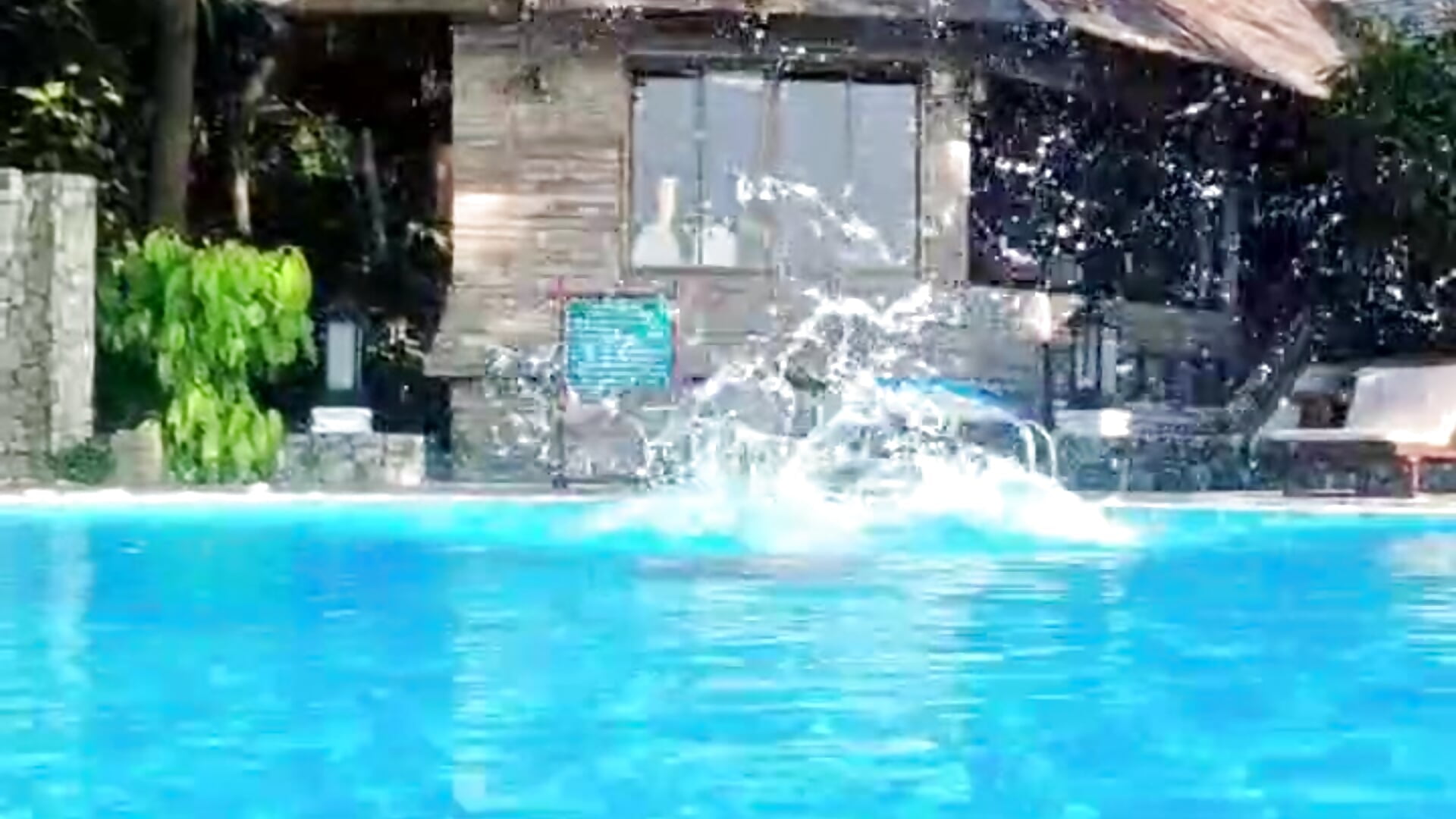 swimming pool – video af Siesta_Key