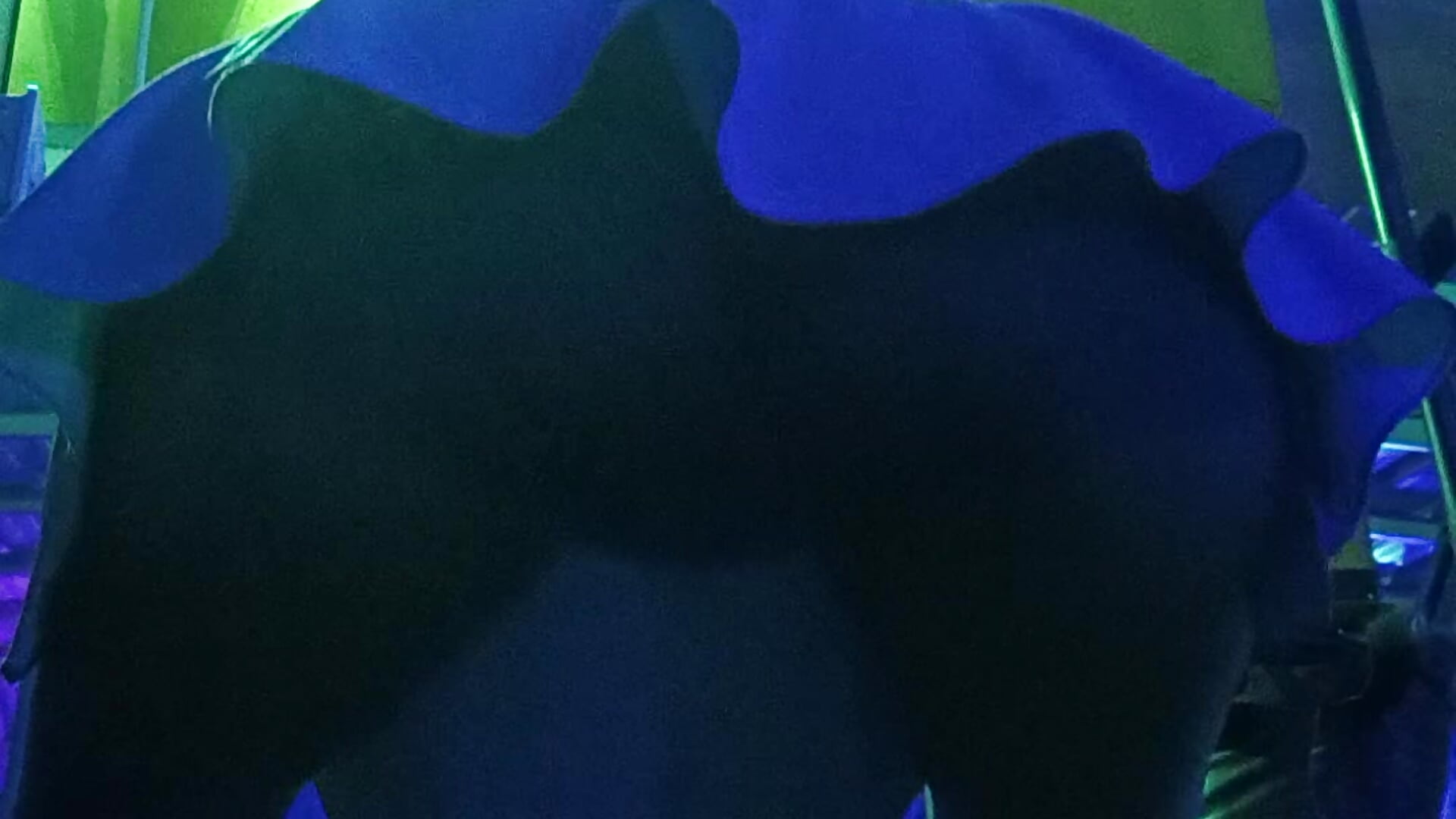 Help me do exercises - video by BlairSamy cam model