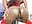 BIG ASS - Video von Arii_xxx Cam-Model