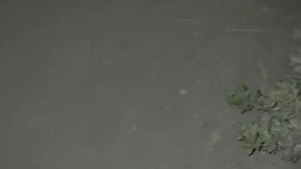 Cruising - video by charlye_inkkkk cam model