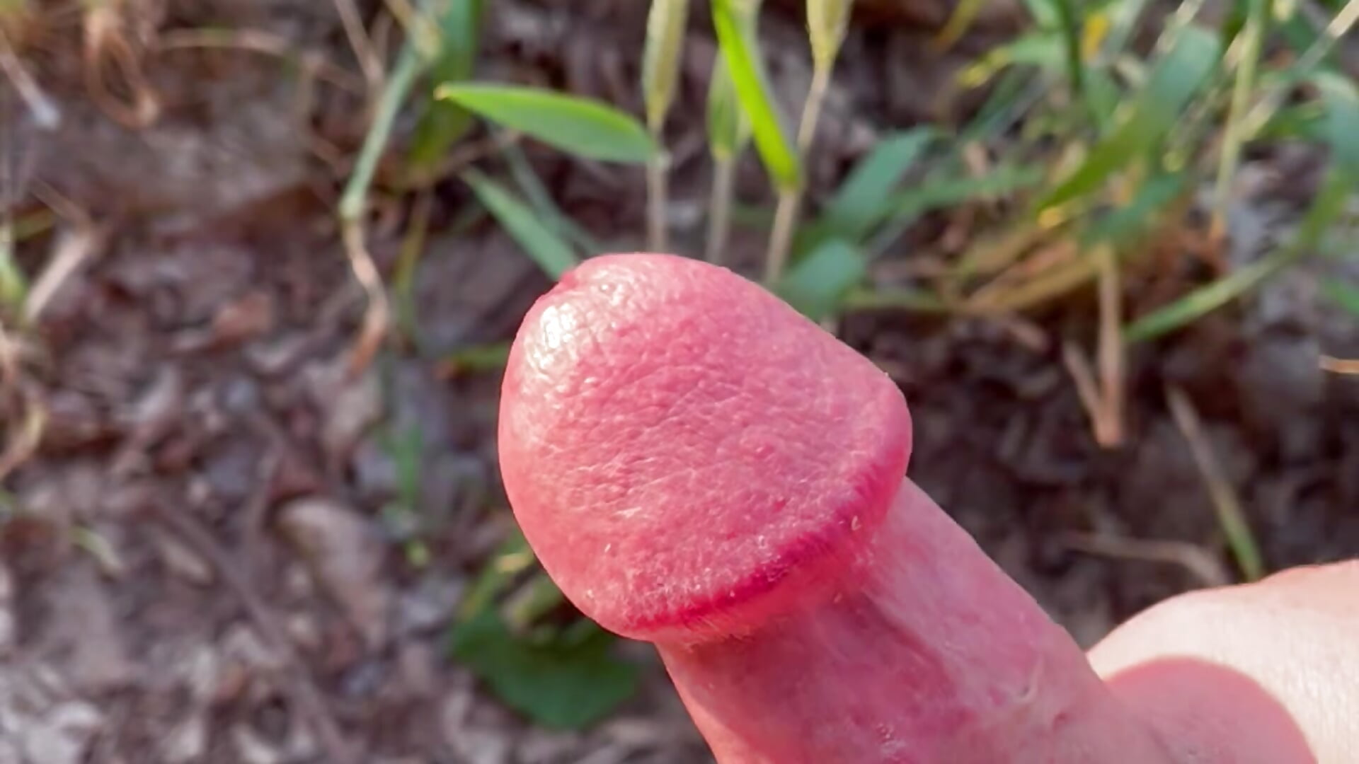 IMG_6966 - video by teatime_91 cam model