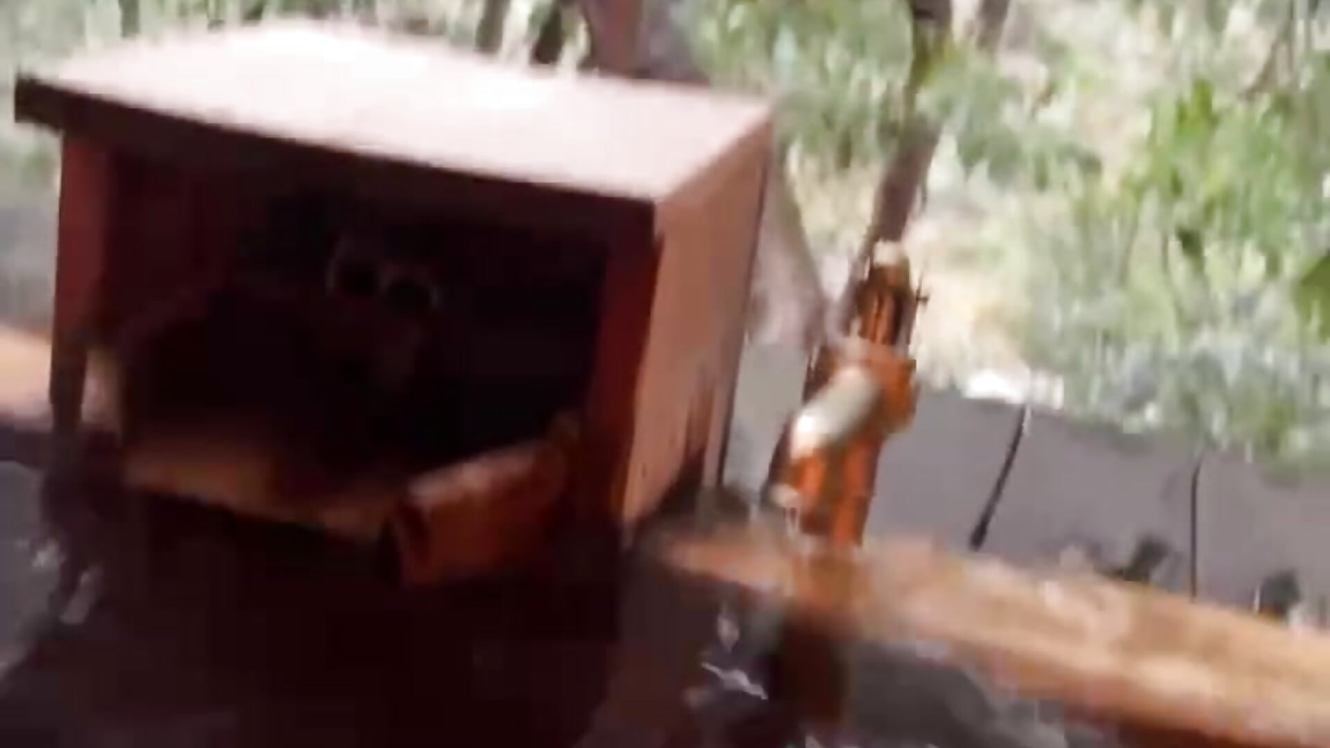 trim,E65A5D95-CA95-4DC5-B490-42B6CBDE91C2 - video by mio_nyan_ cam model