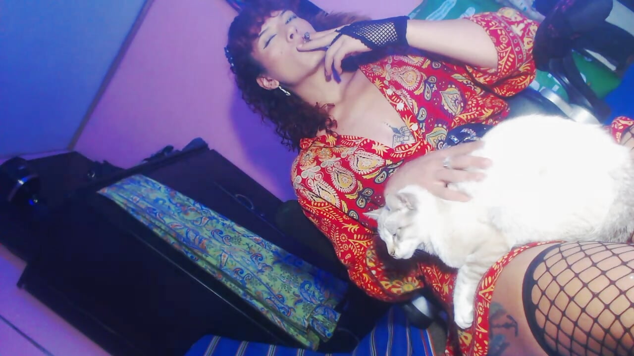 gatoo - vídeo de franchescasecrett modelo de câmara