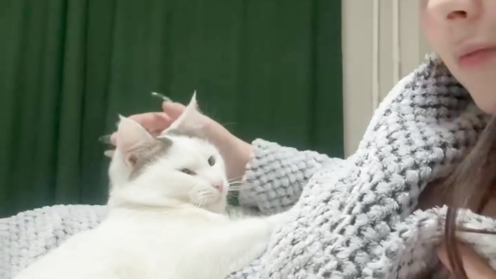With a cat 😻💋 - video by MaliTai cam model