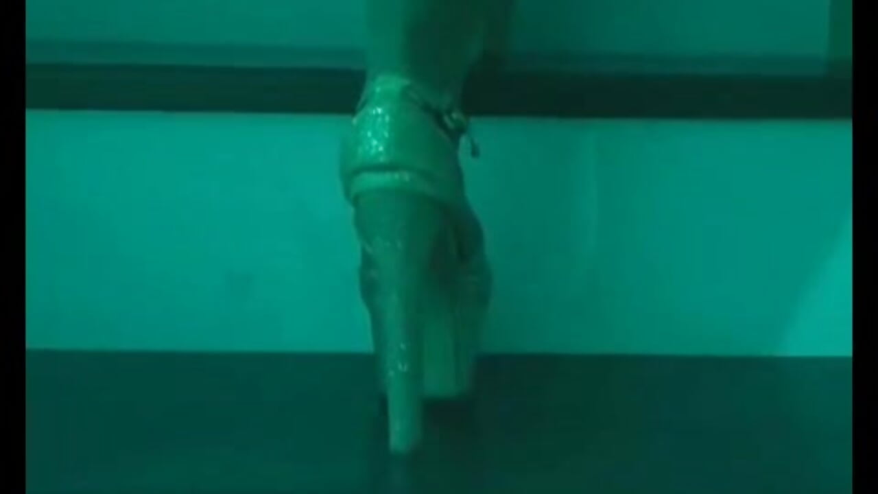 🍑🍑🍑