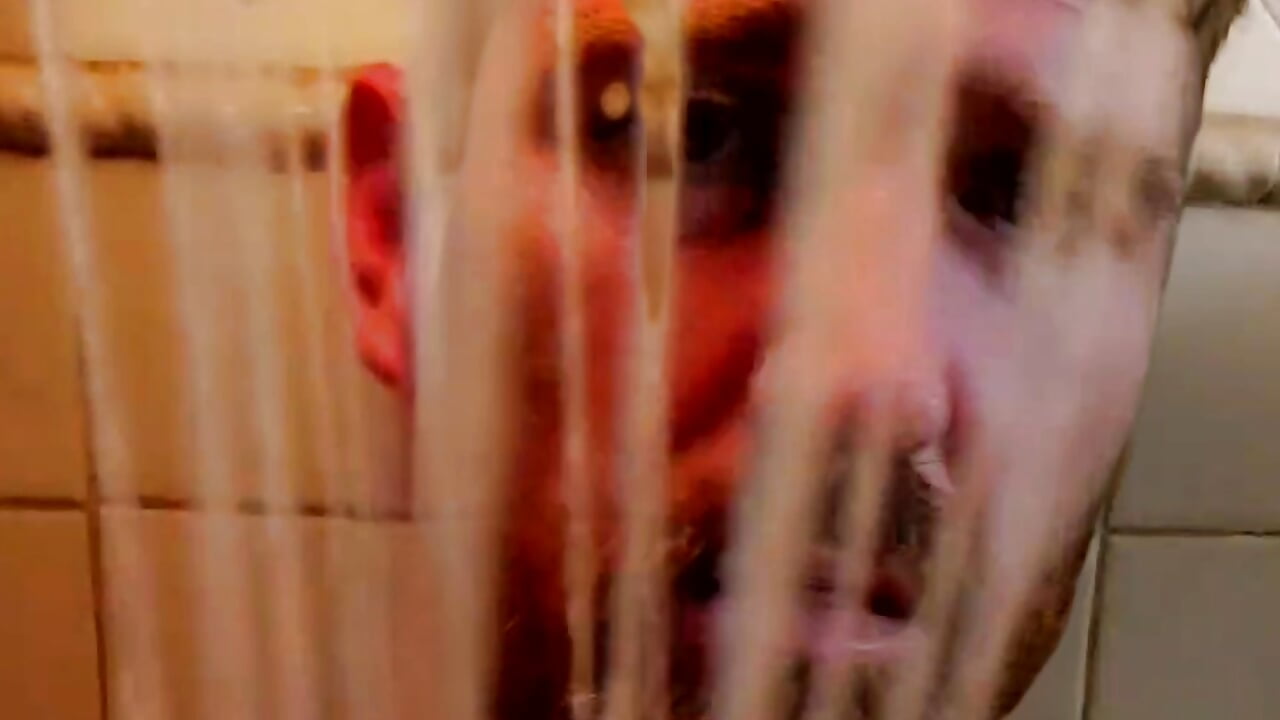 profile-intro-video-1749782795 - video by Cobra500hp cam model