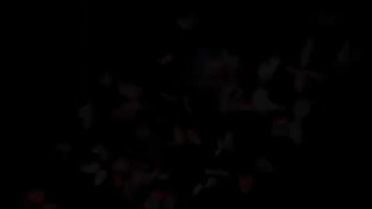 uwu