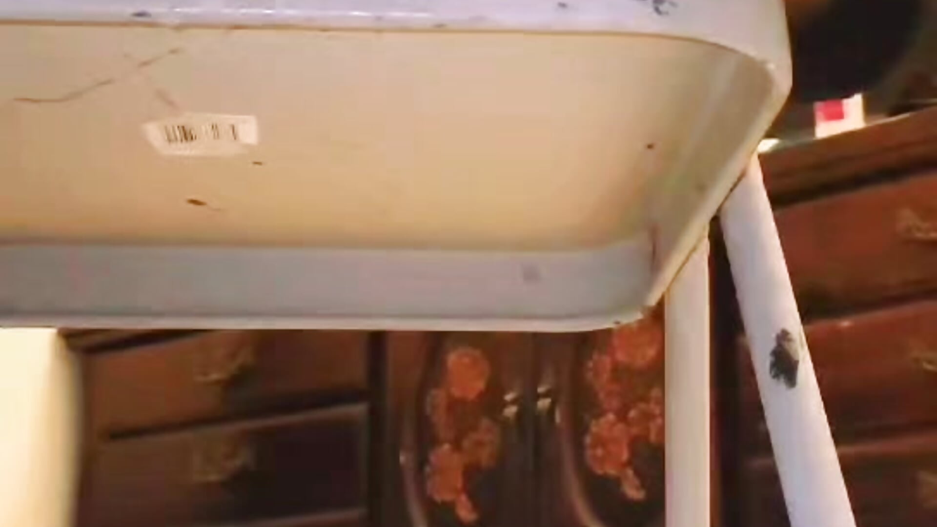 Anal squirt