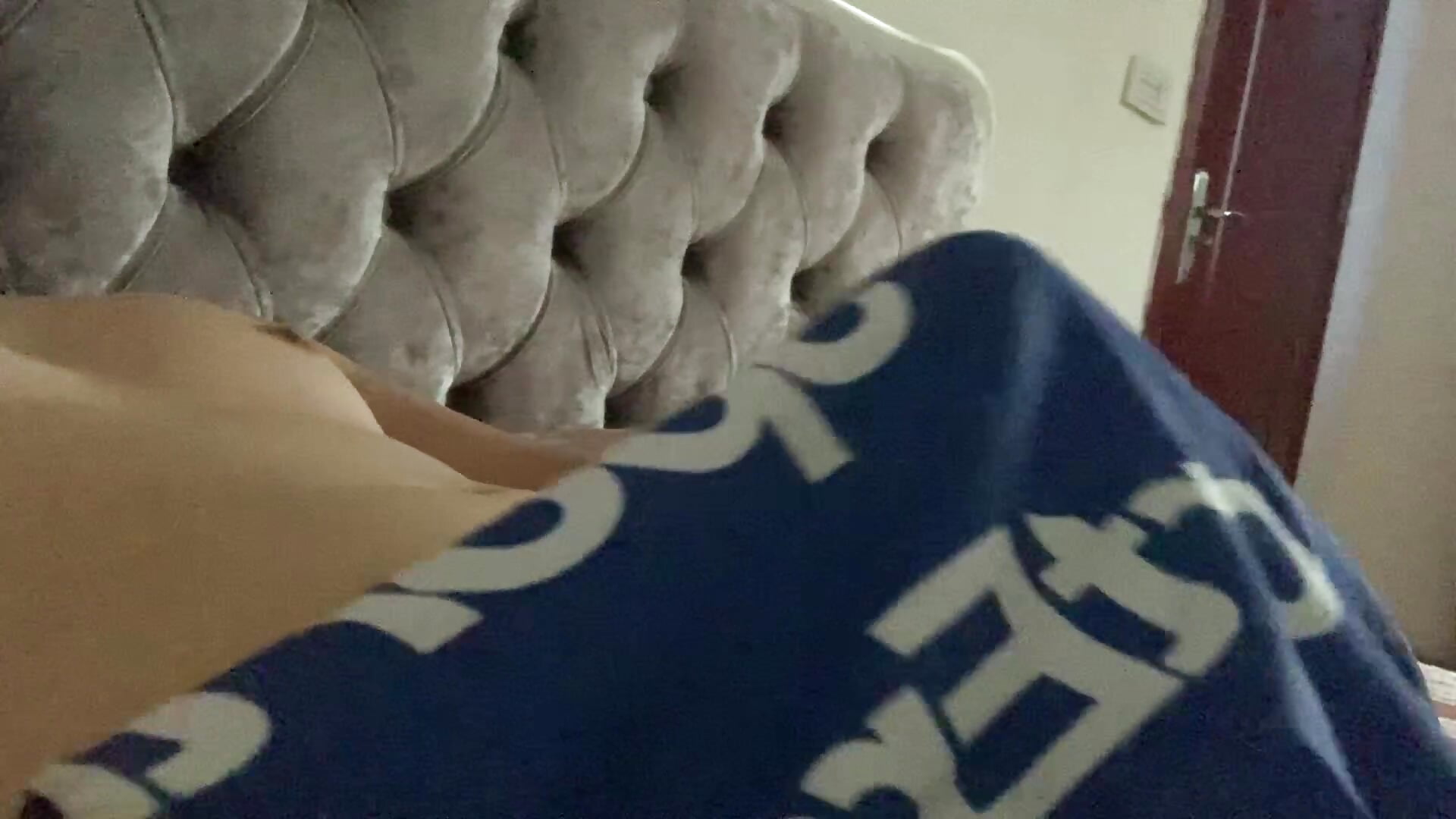Walking birds in the morning - video di liexjbd-8899