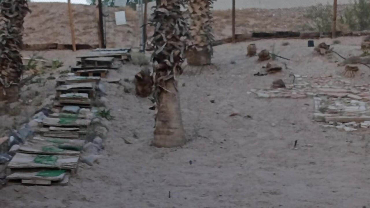 June,2025 - vidéo du modèle de showcams bigraski1976