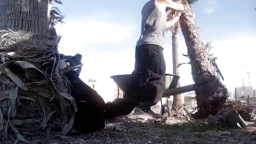 Working - vidéo du modèle de showcams bigraski1976