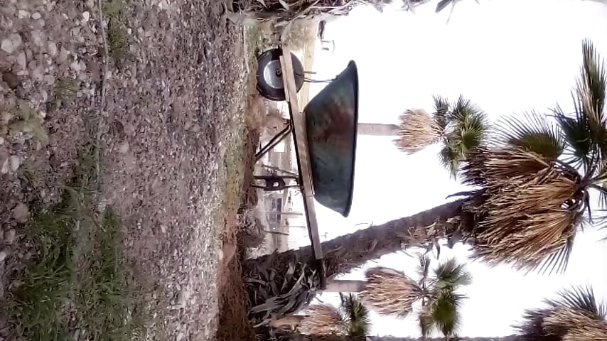 Working - vidéo du modèle de showcams bigraski1976