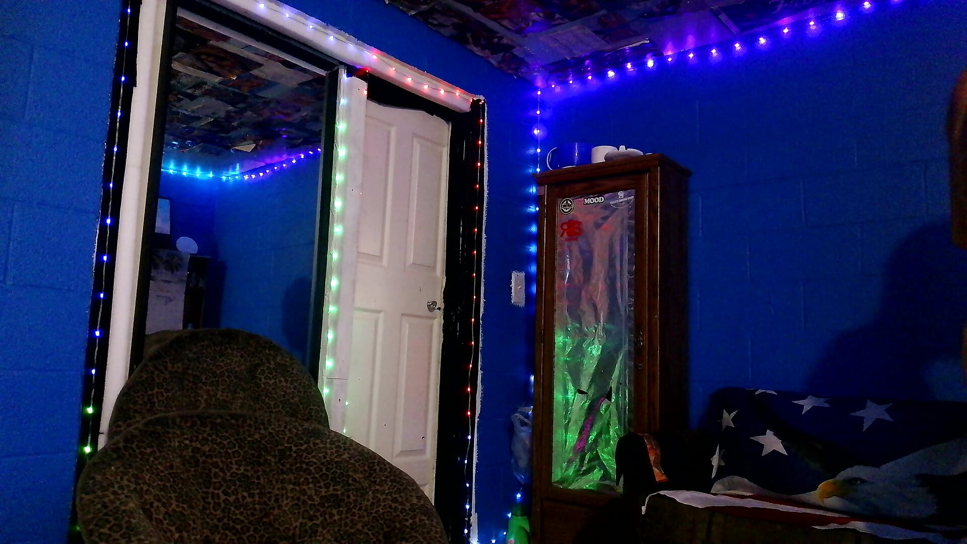 VID_20260127 - فيديو من bigraski1976 موديل الكام