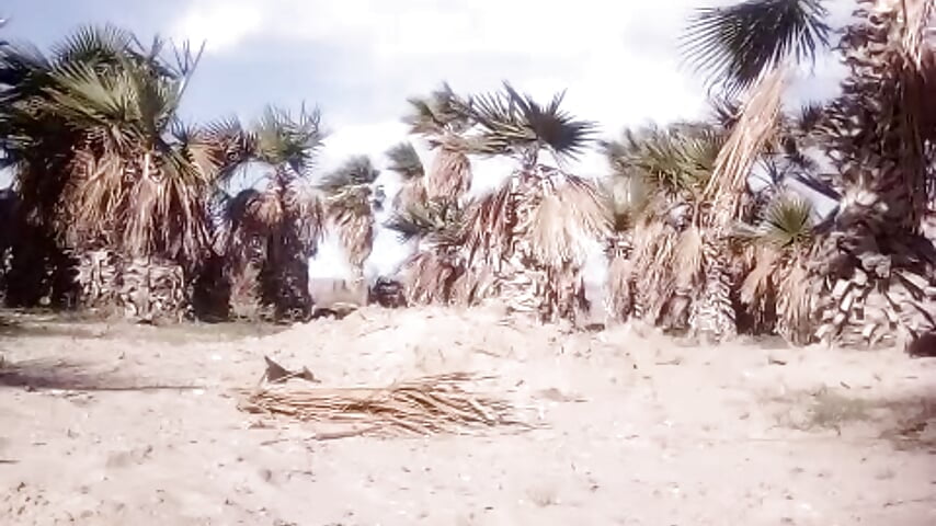 Working - vidéo du modèle de showcams bigraski1976