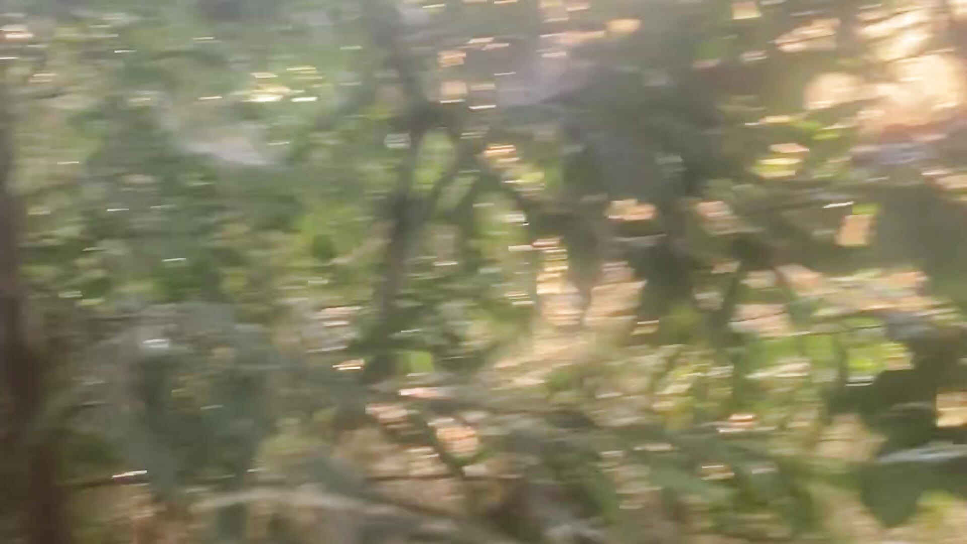 Tugg'n  by the Bay :) - video oleh TomTeazy kamera model