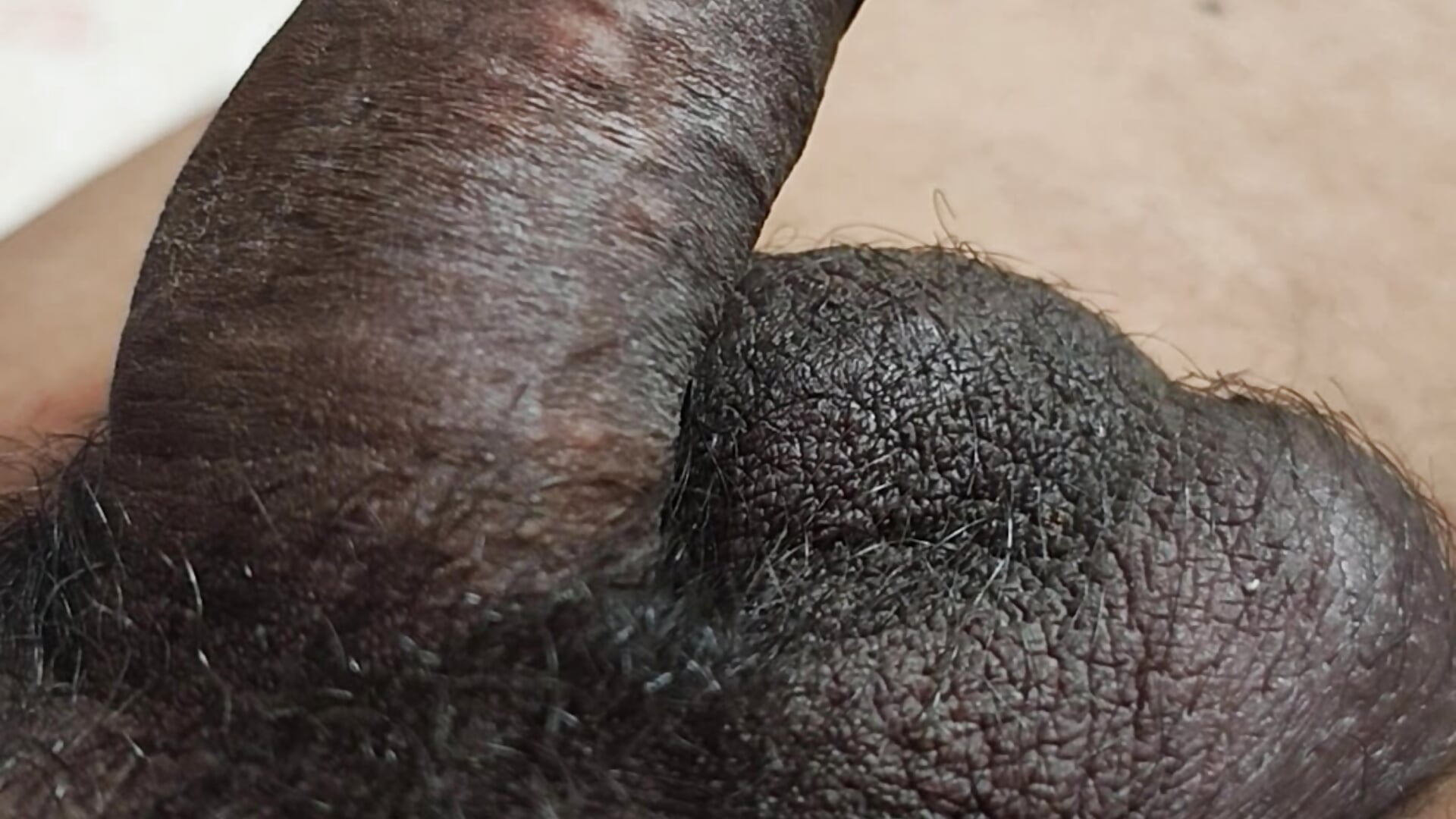 VID_20260125_225101478 - indianBlack_Dick adlı kamera modelinin videosu