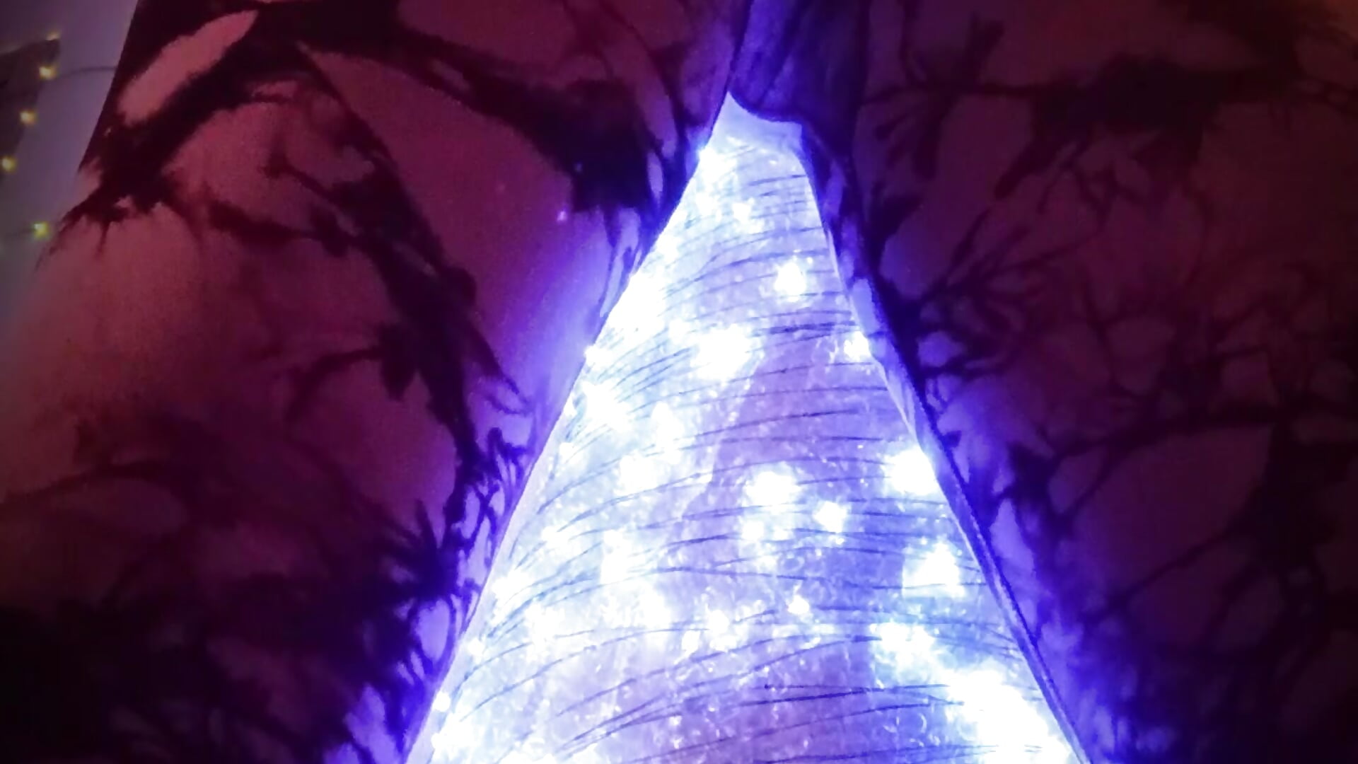 I'm your best New Year's gift 🤩🎁 - video by MissSeverina cam model